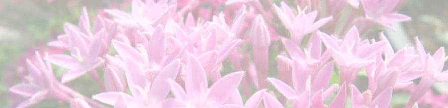 株式会社キーペンタス考房 – 公式サイト