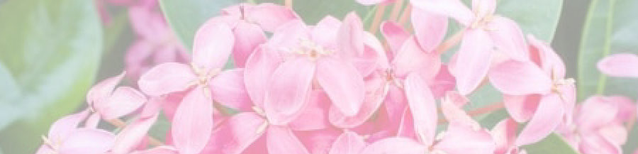 株式会社キーペンタス考房 – 公式サイト